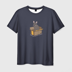 Мужская футболка 3D с принтом Кошка в коробке в Новосибирске, 100% полиэфир | прямой крой, круглый вырез горловины, длина до линии бедер | 