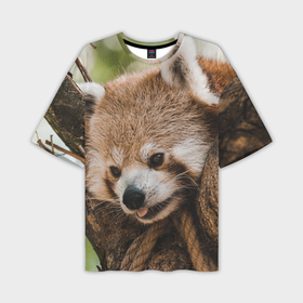 Мужская футболка OVERSIZE 3D с принтом Малая милая панда в Новосибирске,  |  | 