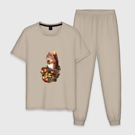 Мужская пижама хлопок с принтом Белочка с орешками в Тюмени, 100% хлопок | брюки и футболка прямого кроя, без карманов, на брюках мягкая резинка на поясе и по низу штанин
 | 