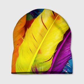 Шапка 3D с принтом Разноцветные перья птиц в Курске, 100% полиэстер | универсальный размер, печать по всей поверхности изделия | 