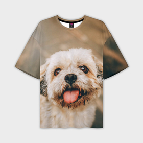 Мужская футболка OVERSIZE 3D с принтом Милый маленький пёсик в Петрозаводске,  |  | 