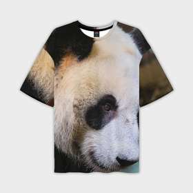 Мужская футболка OVERSIZE 3D с принтом Загадочная панда в Петрозаводске,  |  | Тематика изображения на принте: 