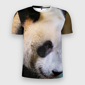 Мужская футболка 3D Slim с принтом Загадочная панда в Петрозаводске, 100% полиэстер с улучшенными характеристиками | приталенный силуэт, круглая горловина, широкие плечи, сужается к линии бедра | Тематика изображения на принте: 