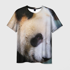 Мужская футболка 3D с принтом Загадочная панда в Петрозаводске, 100% полиэфир | прямой крой, круглый вырез горловины, длина до линии бедер | Тематика изображения на принте: 