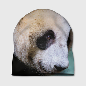 Шапка 3D с принтом Загадочная панда в Кировске, 100% полиэстер | универсальный размер, печать по всей поверхности изделия | 