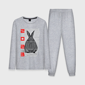 Мужская пижама хлопок (с лонгсливом) с принтом Черный кролик 2023 в Петрозаводске,  |  | 