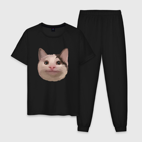 Мужская пижама хлопок с принтом Polite cat meme в Санкт-Петербурге, 100% хлопок | брюки и футболка прямого кроя, без карманов, на брюках мягкая резинка на поясе и по низу штанин
 | 