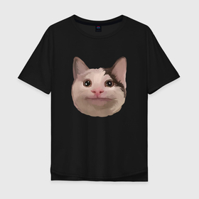 Мужская футболка хлопок Oversize с принтом Polite cat meme , 100% хлопок | свободный крой, круглый ворот, “спинка” длиннее передней части | 