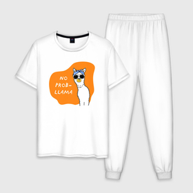 Мужская пижама хлопок с принтом Лама   No probllama в Санкт-Петербурге, 100% хлопок | брюки и футболка прямого кроя, без карманов, на брюках мягкая резинка на поясе и по низу штанин
 | Тематика изображения на принте: 