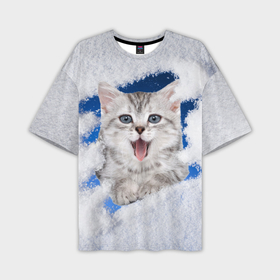 Мужская футболка OVERSIZE 3D с принтом Котёнок в снегу ,  |  | 