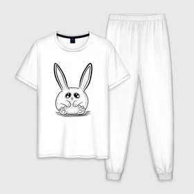 Мужская пижама хлопок с принтом Кролик пухляш в Белгороде, 100% хлопок | брюки и футболка прямого кроя, без карманов, на брюках мягкая резинка на поясе и по низу штанин
 | 