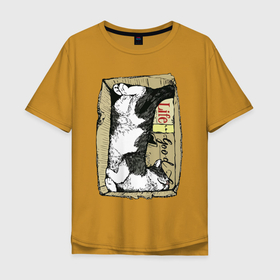 Мужская футболка хлопок Oversize с принтом Котяра спит в картонной коробке в Тюмени, 100% хлопок | свободный крой, круглый ворот, “спинка” длиннее передней части | Тематика изображения на принте: 