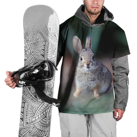 Накидка на куртку 3D с принтом Малыш кролик в Белгороде, 100% полиэстер |  | Тематика изображения на принте: 