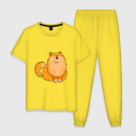 Мужская пижама хлопок с принтом Оранжевый орущий кот в Петрозаводске, 100% хлопок | брюки и футболка прямого кроя, без карманов, на брюках мягкая резинка на поясе и по низу штанин
 | 