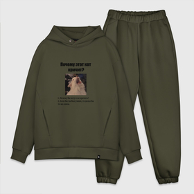 Мужской костюм хлопок OVERSIZE с принтом Почему этот кот кричит в городе Новоалтайск,  |  | 