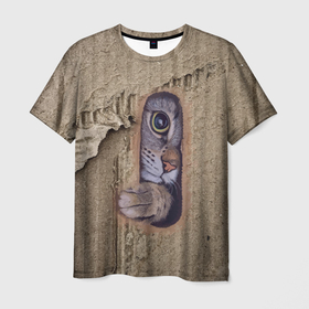 Мужская футболка 3D с принтом Милый котёнок в рваной картонной коробке в Тюмени, 100% полиэфир | прямой крой, круглый вырез горловины, длина до линии бедер | Тематика изображения на принте: 