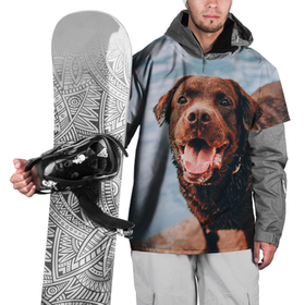 Накидка на куртку 3D с принтом Пёс и бассейн в Тюмени, 100% полиэстер |  | 
