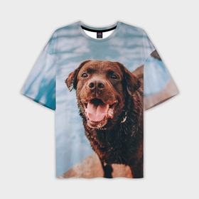 Мужская футболка OVERSIZE 3D с принтом Пёс и бассейн в Кировске,  |  | Тематика изображения на принте: 