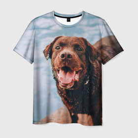 Мужская футболка 3D с принтом Пёс и бассейн в Кировске, 100% полиэфир | прямой крой, круглый вырез горловины, длина до линии бедер | 