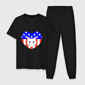 Мужская пижама хлопок с принтом American cat в Кировске, 100% хлопок | брюки и футболка прямого кроя, без карманов, на брюках мягкая резинка на поясе и по низу штанин
 | 