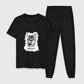 Мужская пижама хлопок с принтом Cat   What в Курске, 100% хлопок | брюки и футболка прямого кроя, без карманов, на брюках мягкая резинка на поясе и по низу штанин
 | 