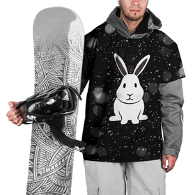 Накидка на куртку 3D с принтом Год кролика 2023 в Белгороде, 100% полиэстер |  | Тематика изображения на принте: 