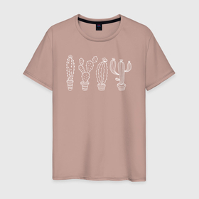 Мужская футболка хлопок с принтом Кактусы в горшочках в Кировске, 100% хлопок | прямой крой, круглый вырез горловины, длина до линии бедер, слегка спущенное плечо. | 
