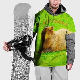 Накидка на куртку 3D с принтом Капибара   повелитель трав в Екатеринбурге, 100% полиэстер |  | 