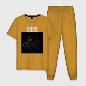 Мужская пижама хлопок с принтом Black rabbit in black square 2023 в Петрозаводске, 100% хлопок | брюки и футболка прямого кроя, без карманов, на брюках мягкая резинка на поясе и по низу штанин
 | 