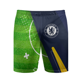 Мужские шорты спортивные с принтом Chelsea football field в Петрозаводске,  |  | 
