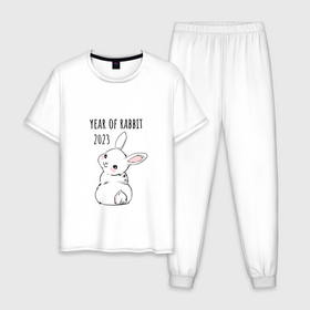 Мужская пижама хлопок с принтом Белый кролик   символ 2023 года в Белгороде, 100% хлопок | брюки и футболка прямого кроя, без карманов, на брюках мягкая резинка на поясе и по низу штанин
 | 