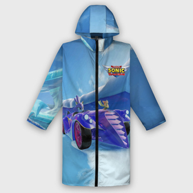 Дождевик унисекс 3D с принтом Blaze the Cat   Team Sonic racing в городе Новоалтайск,  |  | Тематика изображения на принте: 