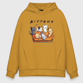 Мужское худи Oversize хлопок с принтом Kittens    Jоke в Петрозаводске, френч-терри — 70% хлопок, 30% полиэстер. Мягкий теплый начес внутри —100% хлопок | боковые карманы, эластичные манжеты и нижняя кромка, капюшон на магнитной кнопке | 