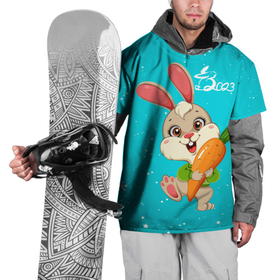 Накидка на куртку 3D с принтом Зайчик 2023 с морковкой в Тюмени, 100% полиэстер |  | Тематика изображения на принте: 