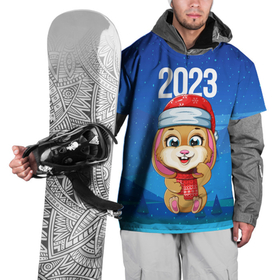 Накидка на куртку 3D с принтом 2023    Новогодний  зайчик , 100% полиэстер |  | Тематика изображения на принте: 