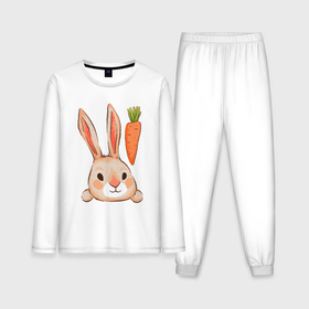 Мужская пижама хлопок (с лонгсливом) с принтом Заяц  с  морковкой ,  |  | 