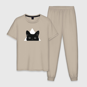 Мужская пижама хлопок с принтом Чёрный кот ты еще спишь в Тюмени, 100% хлопок | брюки и футболка прямого кроя, без карманов, на брюках мягкая резинка на поясе и по низу штанин
 | Тематика изображения на принте: 