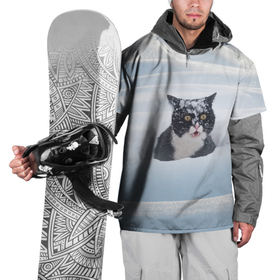 Накидка на куртку 3D с принтом Кот встречает свой Новый Год , 100% полиэстер |  | 