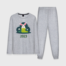 Мужская пижама хлопок (с лонгсливом) с принтом Заяц в сапоге 2023 в Курске,  |  | 