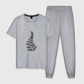 Мужская пижама хлопок с принтом Растение минимализм в Петрозаводске, 100% хлопок | брюки и футболка прямого кроя, без карманов, на брюках мягкая резинка на поясе и по низу штанин
 | 