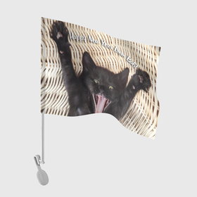 Флаг для автомобиля с принтом Прикольный котёнок   Новый Год на Бали в Санкт-Петербурге, 100% полиэстер | Размер: 30*21 см | 
