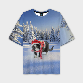 Мужская футболка OVERSIZE 3D с принтом Ряженый котик в зимнем лесу в Курске,  |  | Тематика изображения на принте: 