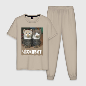 Мужская пижама хлопок с принтом Два котёнка сидят в калошах , 100% хлопок | брюки и футболка прямого кроя, без карманов, на брюках мягкая резинка на поясе и по низу штанин
 | 