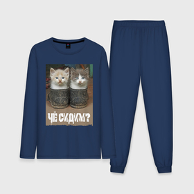 Мужская пижама хлопок (с лонгсливом) с принтом Два котёнка сидят в калошах в Курске,  |  | 