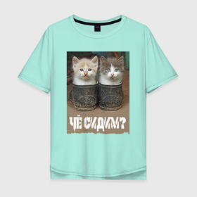 Мужская футболка хлопок Oversize с принтом Два котёнка сидят в калошах , 100% хлопок | свободный крой, круглый ворот, “спинка” длиннее передней части | 