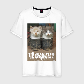 Мужская футболка хлопок с принтом Два котёнка сидят в калошах в Новосибирске, 100% хлопок | прямой крой, круглый вырез горловины, длина до линии бедер, слегка спущенное плечо. | Тематика изображения на принте: 