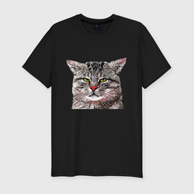 Мужская футболка хлопок Slim с принтом Серый недовольный кот в Санкт-Петербурге, 92% хлопок, 8% лайкра | приталенный силуэт, круглый вырез ворота, длина до линии бедра, короткий рукав | Тематика изображения на принте: 