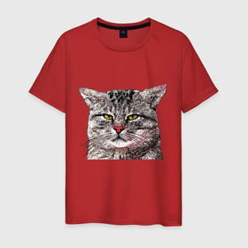 Мужская футболка хлопок с принтом Серый недовольный кот в Петрозаводске, 100% хлопок | прямой крой, круглый вырез горловины, длина до линии бедер, слегка спущенное плечо. | 