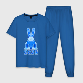 Мужская пижама хлопок с принтом Геометрический синий кролик 2023 в Новосибирске, 100% хлопок | брюки и футболка прямого кроя, без карманов, на брюках мягкая резинка на поясе и по низу штанин
 | 
