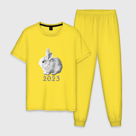 Мужская пижама хлопок с принтом Новогодний белый кролик, символ 2023 года в Белгороде, 100% хлопок | брюки и футболка прямого кроя, без карманов, на брюках мягкая резинка на поясе и по низу штанин
 | 